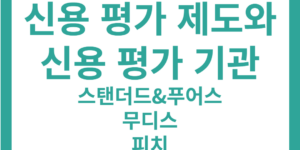 신용 평가 제도, 신용 평가 기관